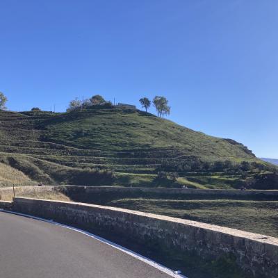 013 Tra Le Curve In Prossimita Di Vizzini