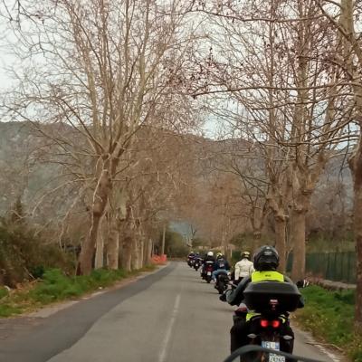 006 Si Lascia Passopisciaro