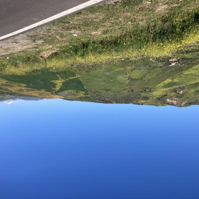 010 I Colori Della Primavera