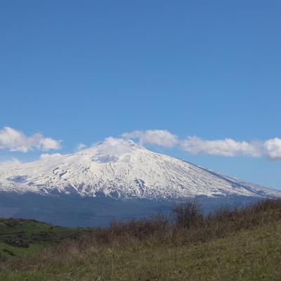 042 Sembra Quasi Di Acciuffarla Con Le Mani