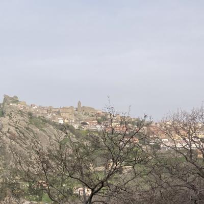 069 Il Leone A Protezione Sulla Citta Di Cerami