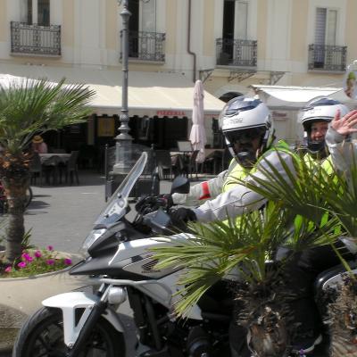 020 Santine E Domenico Si Nascondono Dietro La Palma Nana