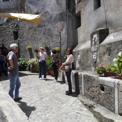 153 In Attesa Che Si Recuperi La Chiave Del Museo Di Storia Dell Agricoltura E Della Pastorizia 