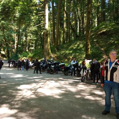020 A Due Km Dalla Certosa Si Trova Il Bosco Del Santuario Dove Parcheggiamo