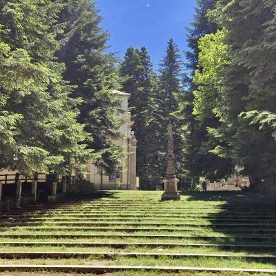 027 Immerso Tra Secolari Abeti Bianchi E Tra Giovani Faggi Il Complesso Del Santuario Di Santa Maria Del Bosco E Il Luogo Di Maggior Richiamo Turistico E Religioso Di Serra San Bruno