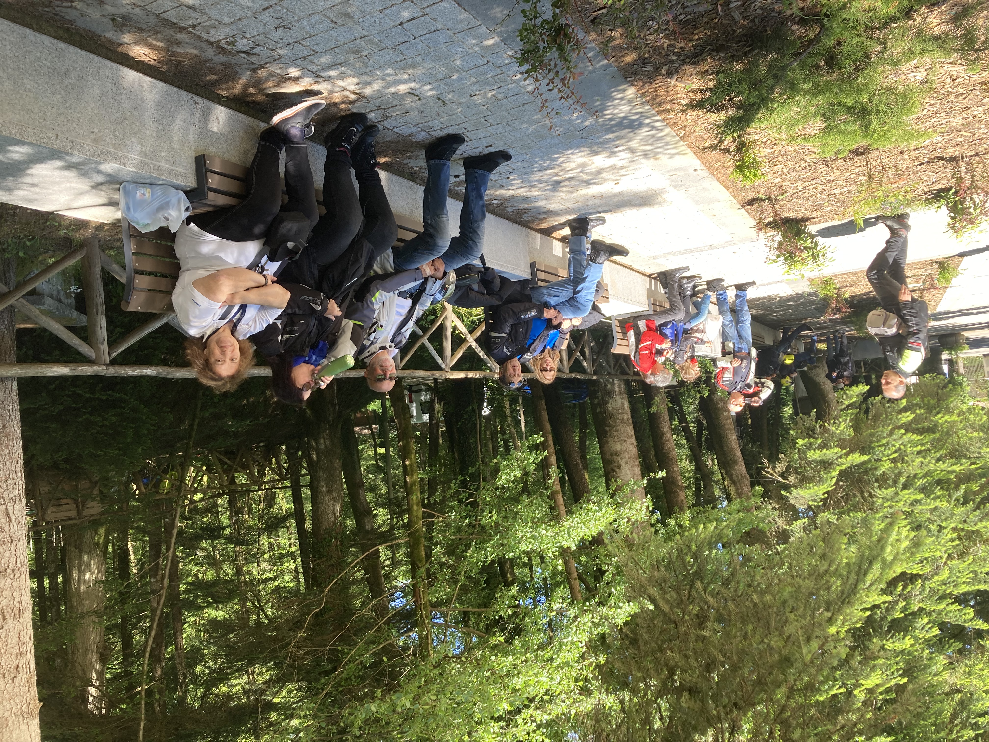 038 In Ordine Sparso Alla Ricerca Della Frescura