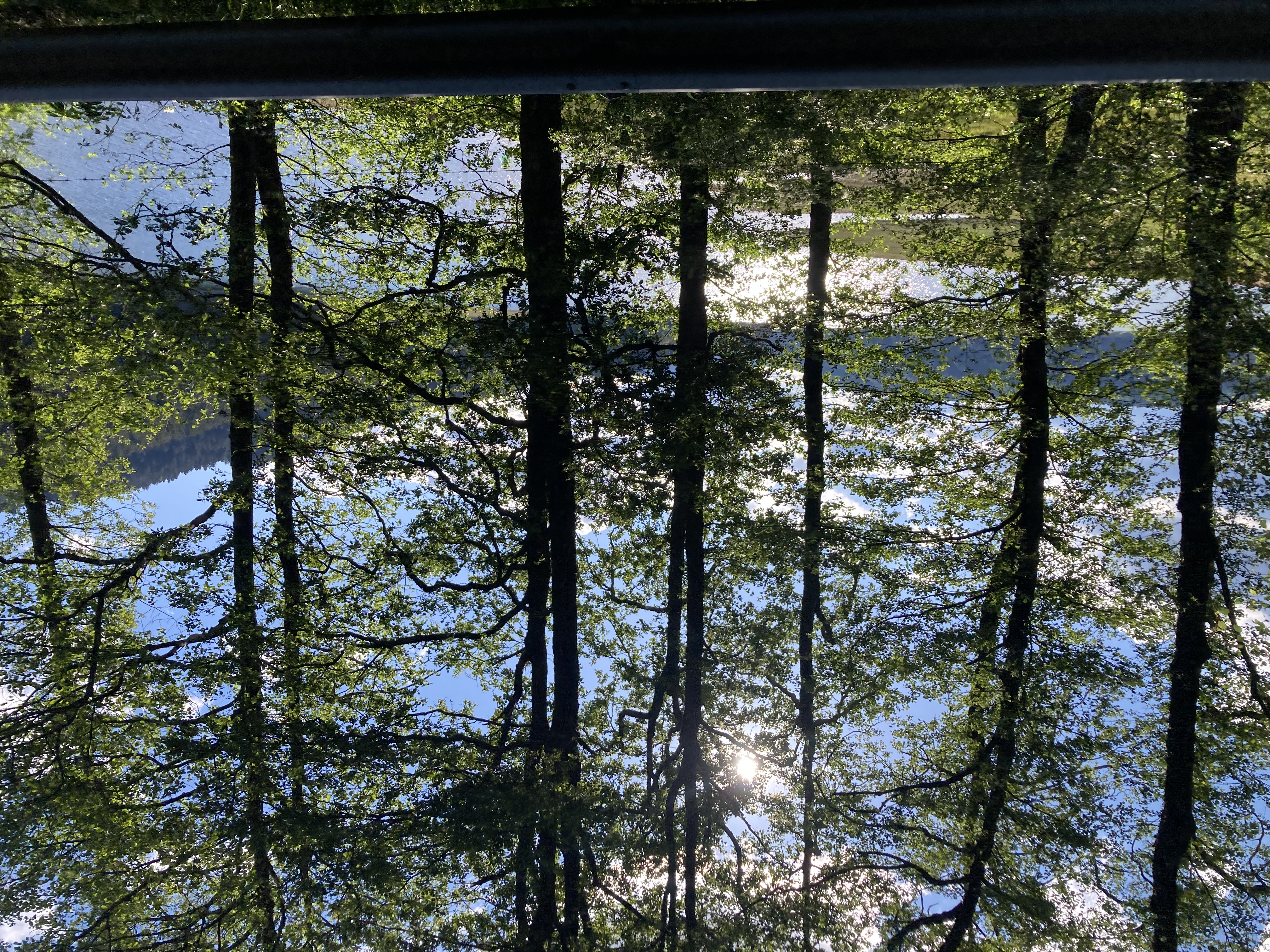 046 Parco Nazionale Della Sila Cotronei Lago Ampollino