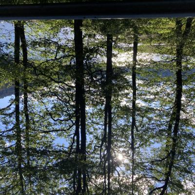 046 Parco Nazionale Della Sila Cotronei Lao Ampollino