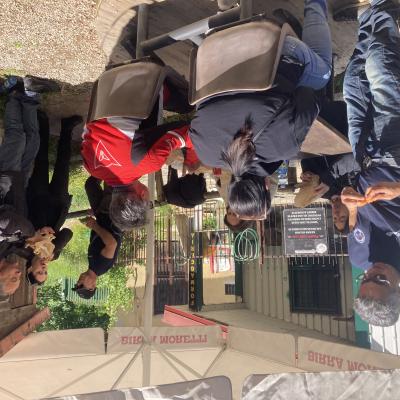 082 Qualcuno Cerca L Ombra Qualcun Altro Ruba Le Albicocche