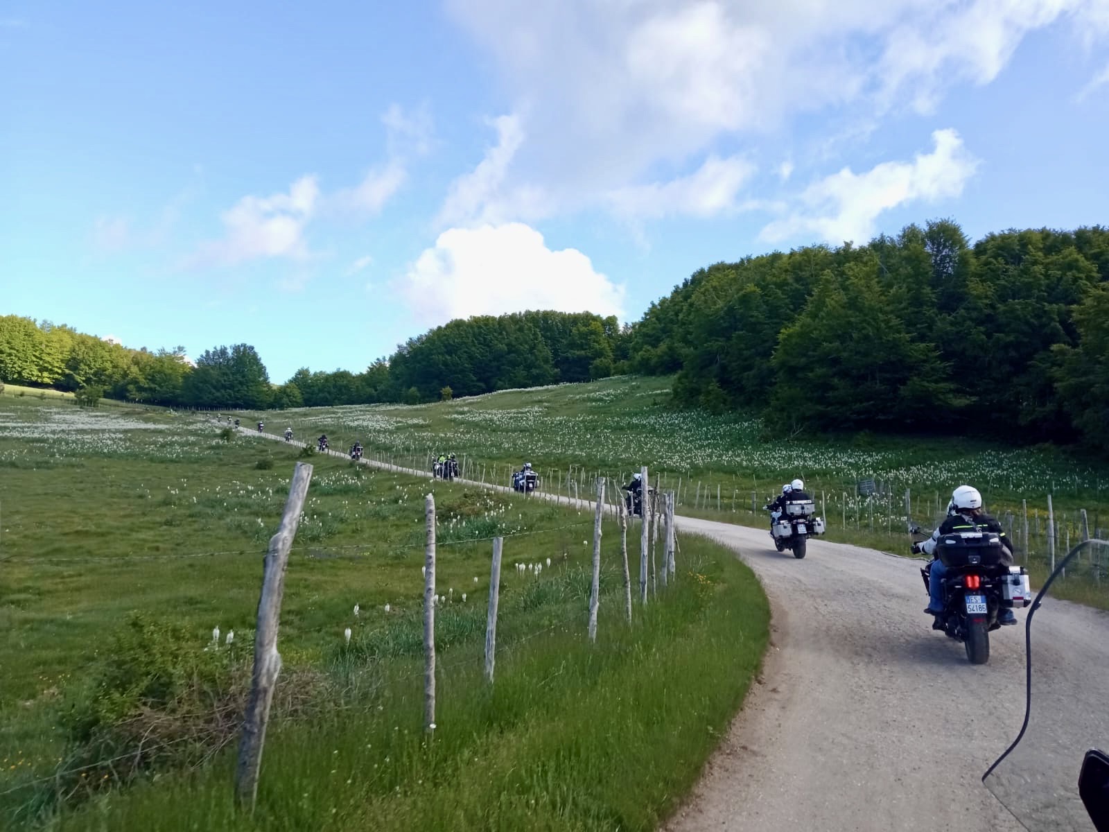 098 Percorrere Questa Strada E Davvero Stimolante Per La Qualita Dell Ambiente E Della Ricchezza Della Vegetazione