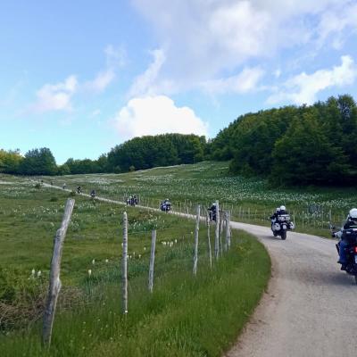 098 Percorrere Questa Strada E Davvero Stimolante Per La Qualita Dell Ambiente E Della Ricchezza Della Vegetazione