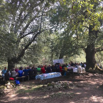 124 Alla Robin Hood Nella Forestia Di Supramonte Con I Fratelli Iemufurriannu 