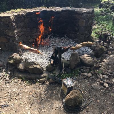 155 Nel Parco Ce Chi Pensa Non Solo Ai Cavalli
