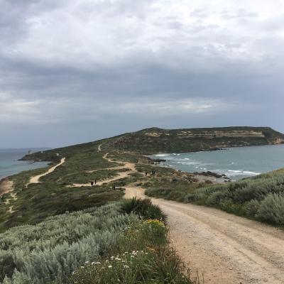 208 La Penisola Del Sinis Con Il Promontorio Di Capo San Marco