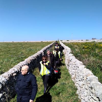011 Vagando Tra Le Campagne Ragusane