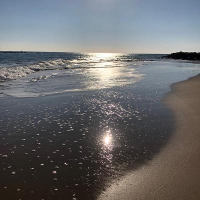 045 Il Mare Di Montalbano
