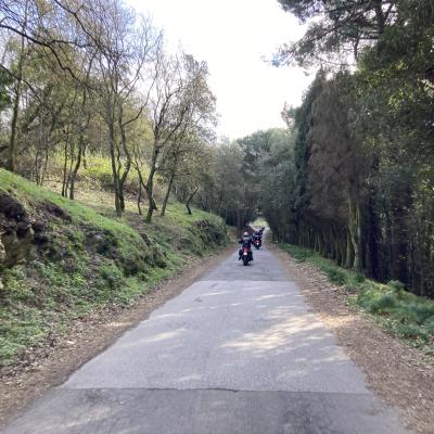 065 Attraversiamo Il Bosco Di Camaro