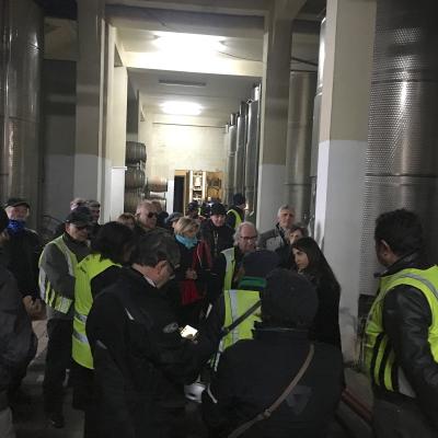 036 Ci Trasferiamo Nella Cantina Dove Viene Messo Il Vino