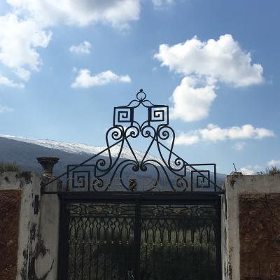 043 Un Pezzo Di Storia Quando Le Cantine Si Chiamavano Torrepalino