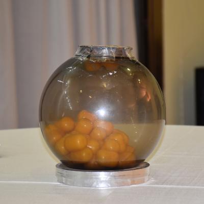 071 Ed Ecco La Tanta Attesa Sfera Di Cristallo Quasi