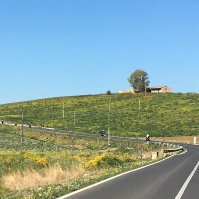 005 Tra Le Campagne Siciliane