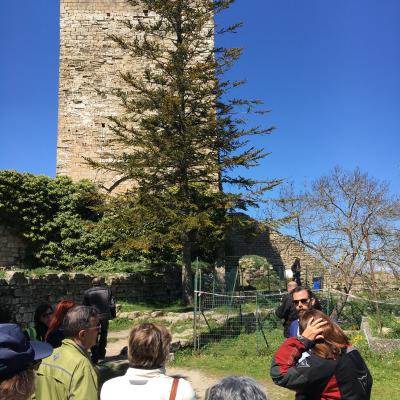 033 La Torre Pisana A Pianta Quadrangolare