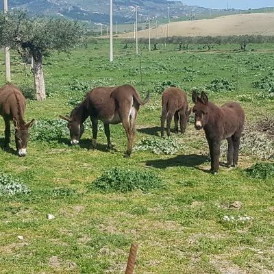 055 Ed Eccoci In Azienda Dove Ad Aspettarci Ci Sono I Nostri Amici