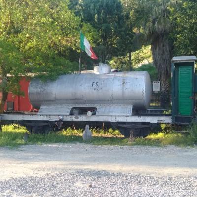 067 Si Pianta Un Albero Sul Bunario Per Evitare Il Sequestro Della La Cisterna Del 1900