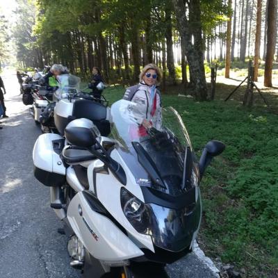 035 Sosta Nella Parte Piu Alta Dell Aspromonte