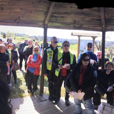 017 Al Riparo Dal Sole Un Bel Gruppo Numeroso