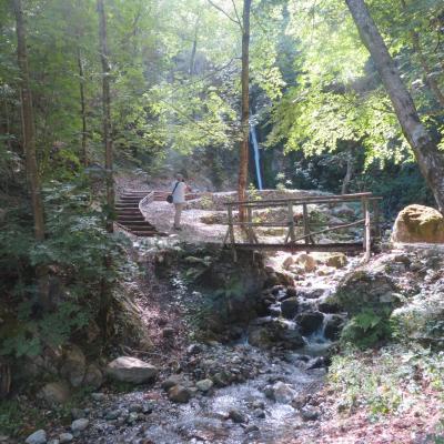 039 Immersi Nella Riserva Naturale Del Fiume Argentario