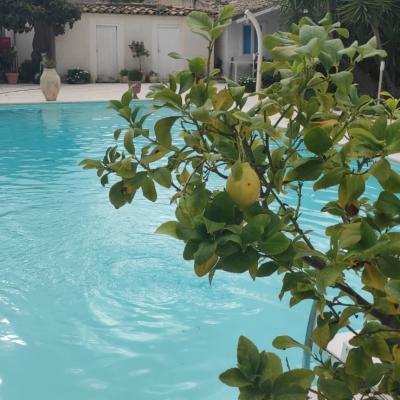 043 Un Po D Acqua E Limone Alla Fine Per Digerire