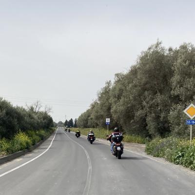 001 La Colonna Sulla Ss194