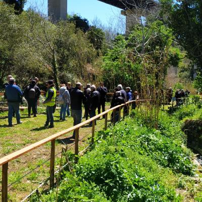 042 Il Percorso Lungo Le Grotte Delle Concerie