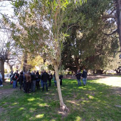 054 Passeggiata Alla Villa Di Palazzolo Ad Ammirare Gli Alberi Secolari