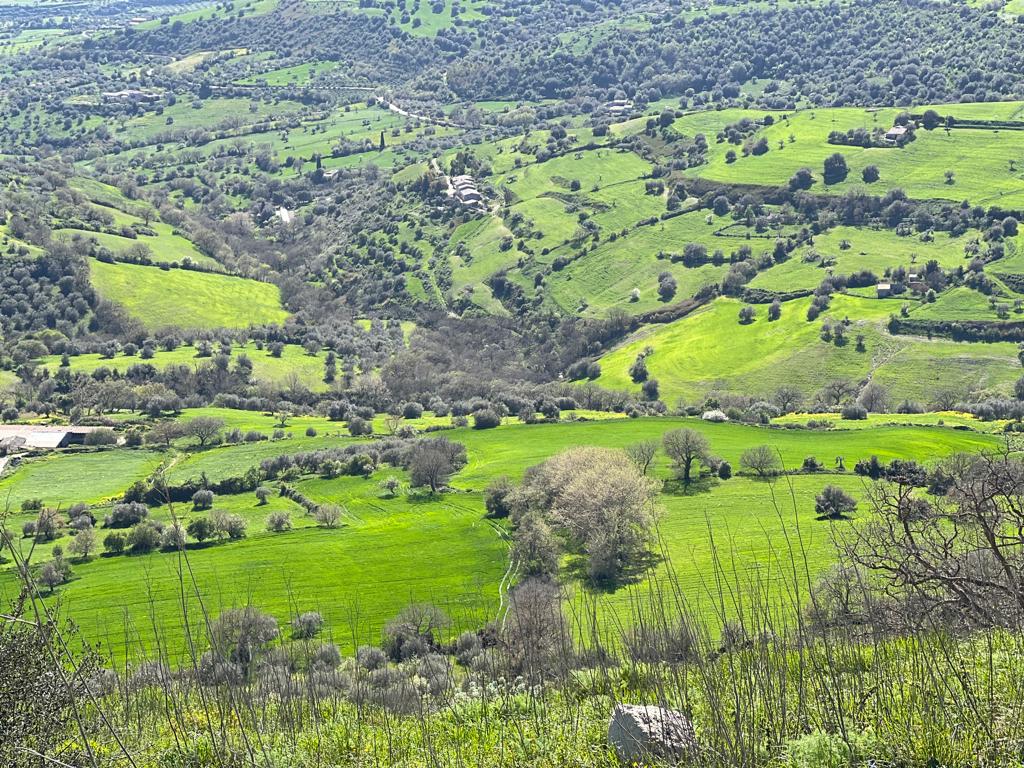071 Il Sito Da Su Un Panorama Che Permette Di Osservare Da Lontano L.antica Necropoli Protostorica Della Pinita