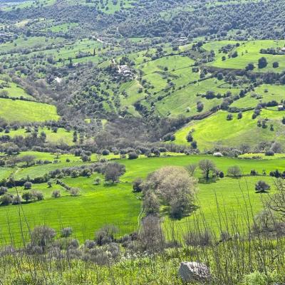 071 Il Sito Da Su Un Panorama Che Permette Di Osservare Da Lontano L.antica Necropoli Protostorica Della Pinita