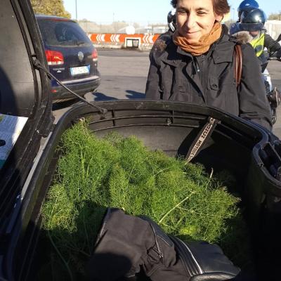 073 Lucia Si Porta A Catania La Bomboniera Un Bauletto Pieno Di Finocchietto Rizzo