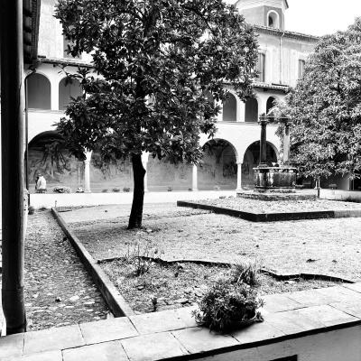 66 Il Chiostro Realizzato Per Quanto Concerne La Parte Architettonica Nel 1550 E Di Forma Quadrata Abbellito Da Ventiquattro Colonne In Pietra Rustica