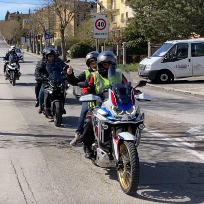 14 Sciliberto Group