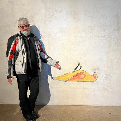 61 Francesco Ci Redarguisce Informandoci Che Non Si Tratta Della Morte Bensi Della Propensione Verso L Alto Dell Uccello