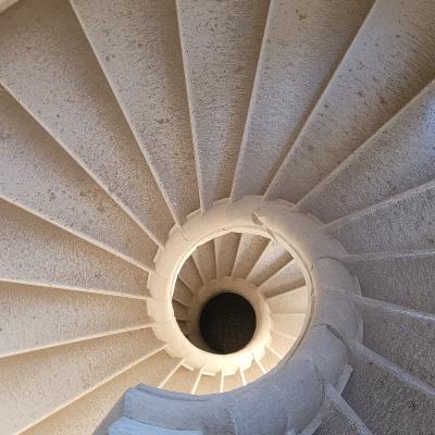 70 Dal Chiostro Grande Si Accede Alla Biblioteca Attraverso Una Bellissima Scala Elicoidale In Pietra. E Datata A Meta Del Quattrocento E Ricorda Quella Del Castello Di Senigallia Anche Se Con Molti Meno Gradini