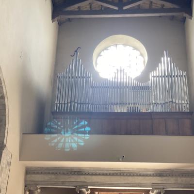 128 I Imponente Organo Della Cattedrale