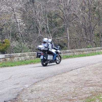 79 Attraversiamo Il Bosco Localita Piscilicchio