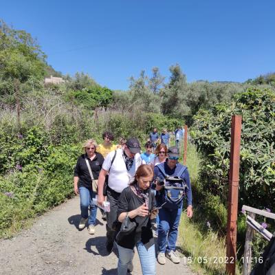 18 Il Sentiero Realizzato Dall Ente Parco Fluviale Dell Alcantara Parte Dal Cuore Dell Abitato Di Francavilla Di Sicilia