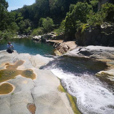 34 Nel Tratto Di Fiume Sottostante La Passerella Sono Numerosi Rane E Rospi Mentre Sulla Calda Pietra Lavica Si Scaldano Le Natrici