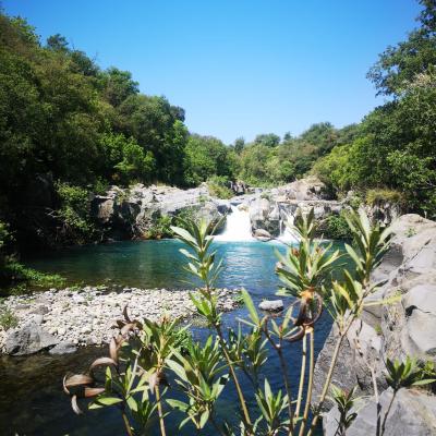 35 Nel Tratto Compreso Tra Castiglione E Francavilla Di Sicilia L Alcantara Grazie All Incessante Azione Erosiva Operata Per Millenni Sulle Colate Laviche