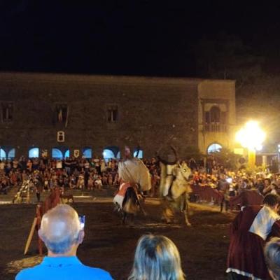 013 Del Gruppo Soldati Dell Associazione Culturale Sicularagonensia
