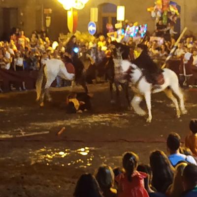 015 Qualcuno Viene Sbalzato Giu Dal Cavallo