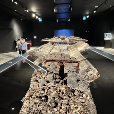 010 Dopo Ben 25 Secoli Nel 1988 I Resti Della Nave Furono Ritrovati Nel Mare Di Bulala A Circa 800 Metri Dalla Costa Da Due Subacquei Gelesi Gino Morteo E Gianni Occhipinti I Quali Ne Denunziano La Scoperta Alla Soprintendenza